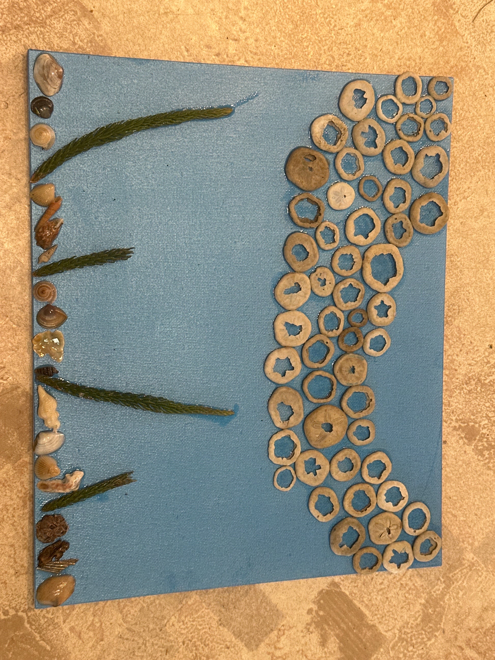 Floating Sea Money