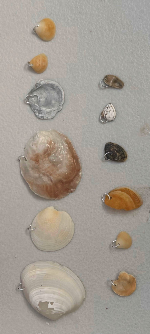 Charms